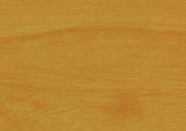heat transfer film faggio 343